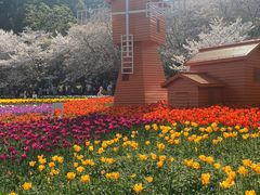-苏州上方山国家森林公园