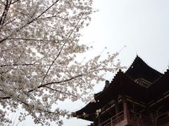 -西安青龙寺遗址景区