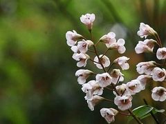 -泰安地下龙宫景区