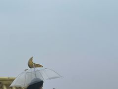-西湖游船