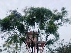 -福建鲤鱼洲酒店