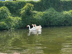 -侯臣咖啡文化村