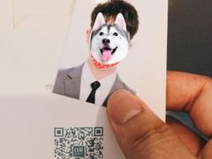 -白箱照相馆·外拍