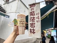-猫的魔法密林(衣裳街店)