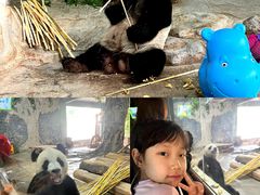 -海南热带野生动植物园