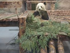 -无锡动物园·太湖欢乐园