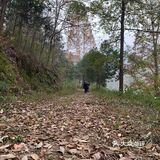 对于这个山，那就真的个野字，野生停车场，野生楼梯