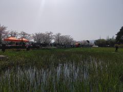 -长田漾湿地公园