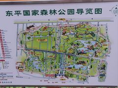 -东平国家森林公园