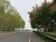 -南京眼步行桥
