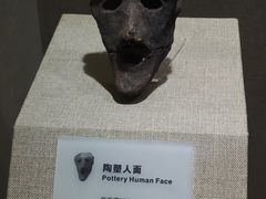 -烟台市博物馆