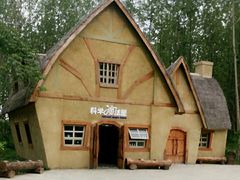 -合肥滨湖国家森林公园