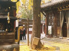 -长春观