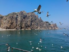 -海驴岛(荣成市)