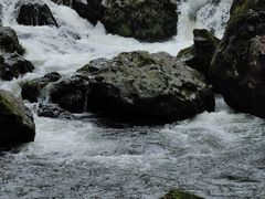 -龙苍沟森林公园
