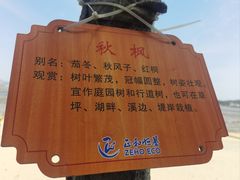 -湄洲岛