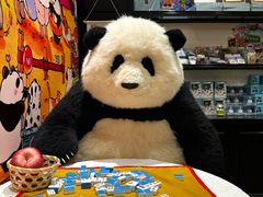 -轩客会(熊猫书店)