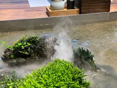 -森味薪火烧•烧鸟居酒屋•日本料理(望京店)