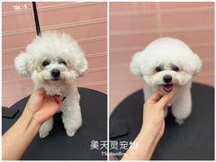 -FAELING PETS美天灵宠物(合生汇店)