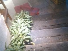 -木屋烧烤(白石洲店)
