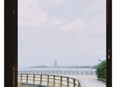 -八大关景区