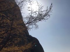 -崂山巨峰游览区