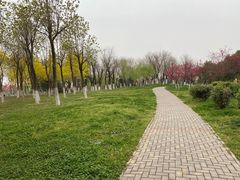 -洨河生态公园