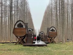 -黄海国家森林公园