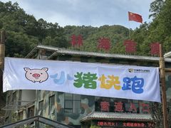 -栾川竹海野生动物园