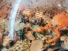 蒸汽海三鲜-蟹谢蒸鲜自助餐厅