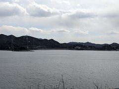 -望湖烤鱼