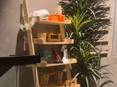 -施奈儿.洗头頭療.按摩SPA.采耳(上梅林店)