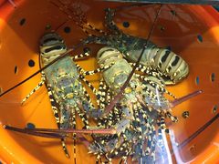 -海九澎湖海鲜餐厅