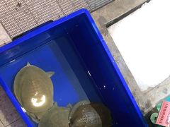 -中苑海韵