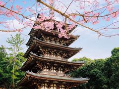 -醍醐寺
