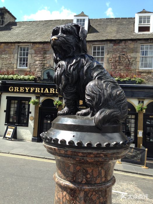 忠犬波比纪念碑图片 - 第1张