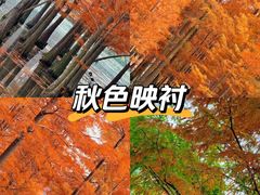 -白鹭湾湿地公园