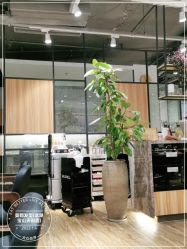 -Mentor Hair Salon