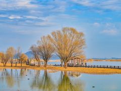 -苏州太湖湖滨国家湿地公园