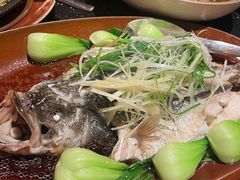 -华豫川酒家(大卫城店)