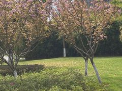 -院士公园