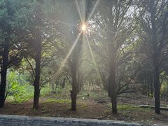 -秦始皇帝陵博物院-丽山园