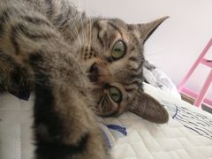 -五台山南京工业大学游泳馆(江浦馆)