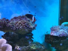 -碧中海汤泉汗蒸酒店