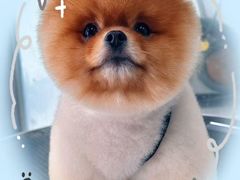 -川香煲(茅台路店)