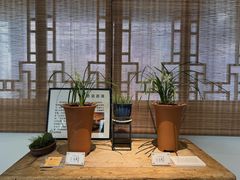 -墨池公园