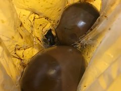 茶叶蛋-阿婆五香蛋(水游城店)