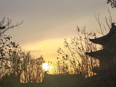 -江心屿景区