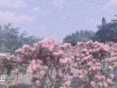 -名花谷生态庄园