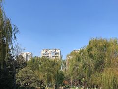 -中央公园(苏州工业园区)